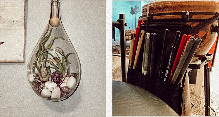 A photograph of an air plant beside a photograph of a djembe drum with a pack of drum sticks